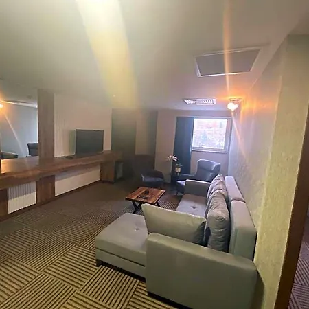 Shelby Hotel 4*