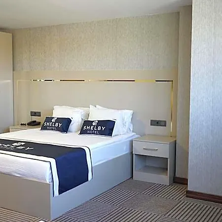Shelby Hotel 4*