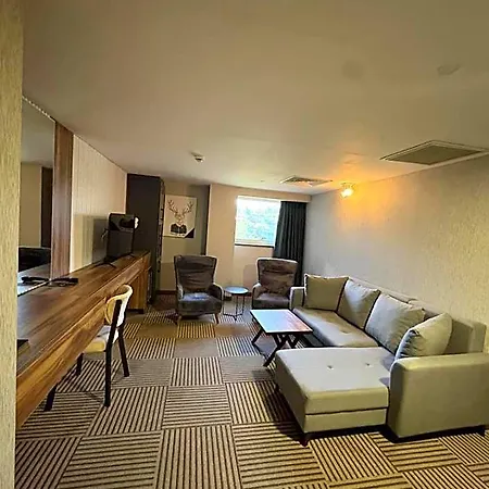 Hotel Shelby Talas